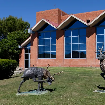Spirit Ciudad De Burgos Rubena  Burgos