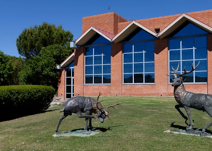 Spirit Ciudad De Burgos Rubena  Burgos